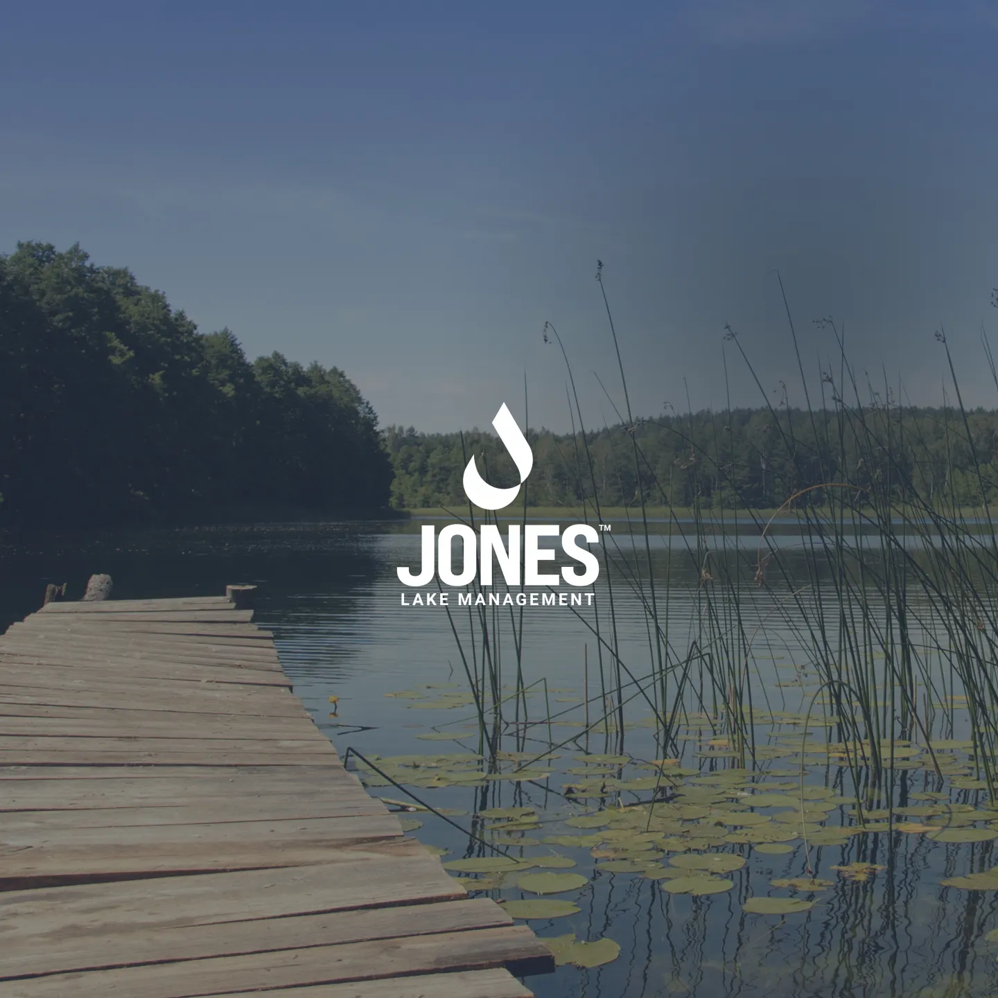 Jones Lake Management